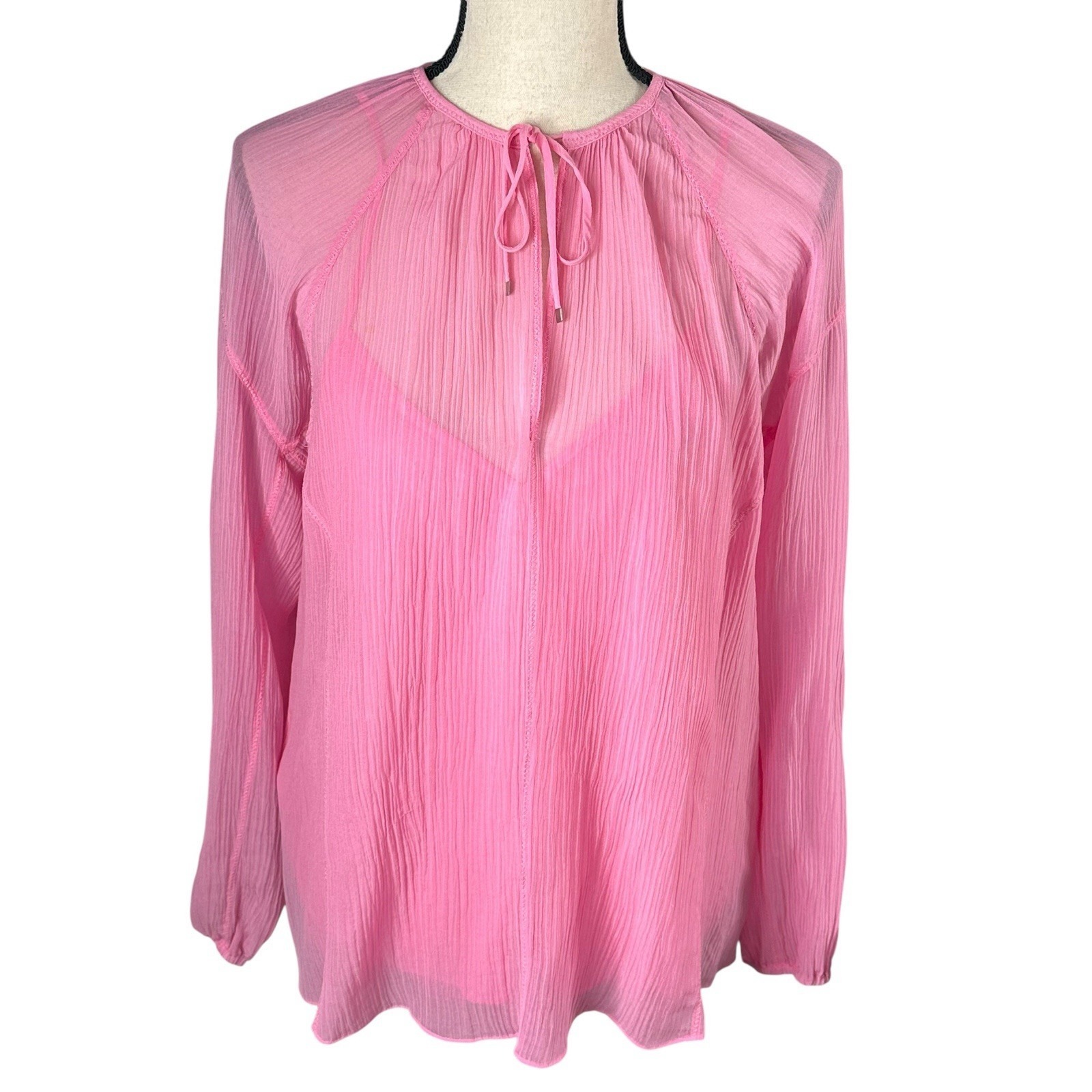 Rag & Bone Melody Blouse Pink Sheer Long Sleeve Silk Cotton Blend Medium